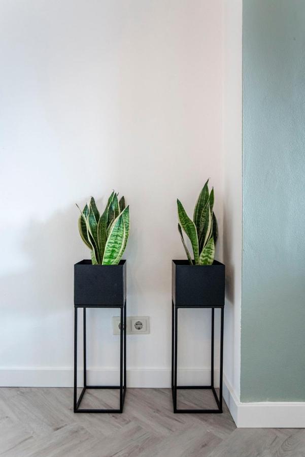 Appartement en Studio Papillon Zandvoort Esterno foto
